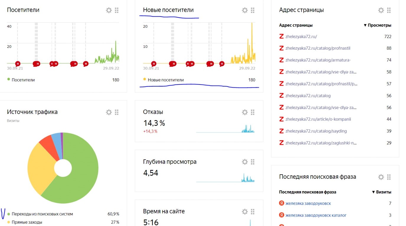 Аналитика из Яндекс метрики по сайту металлопроката